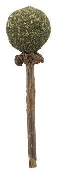 Matatabi LollyPop med kattmyntaboll, 11 cm