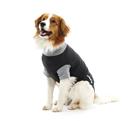 Buster Body Classic till hund - 3