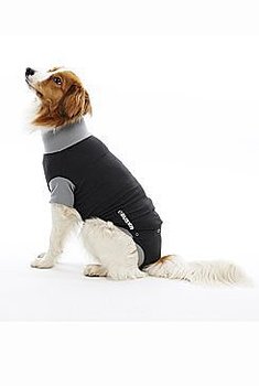 Buster Body Classic till hund