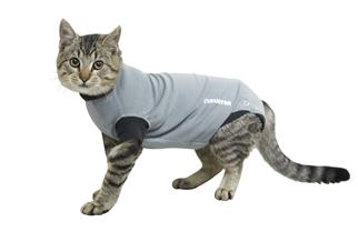 Buster body till katt