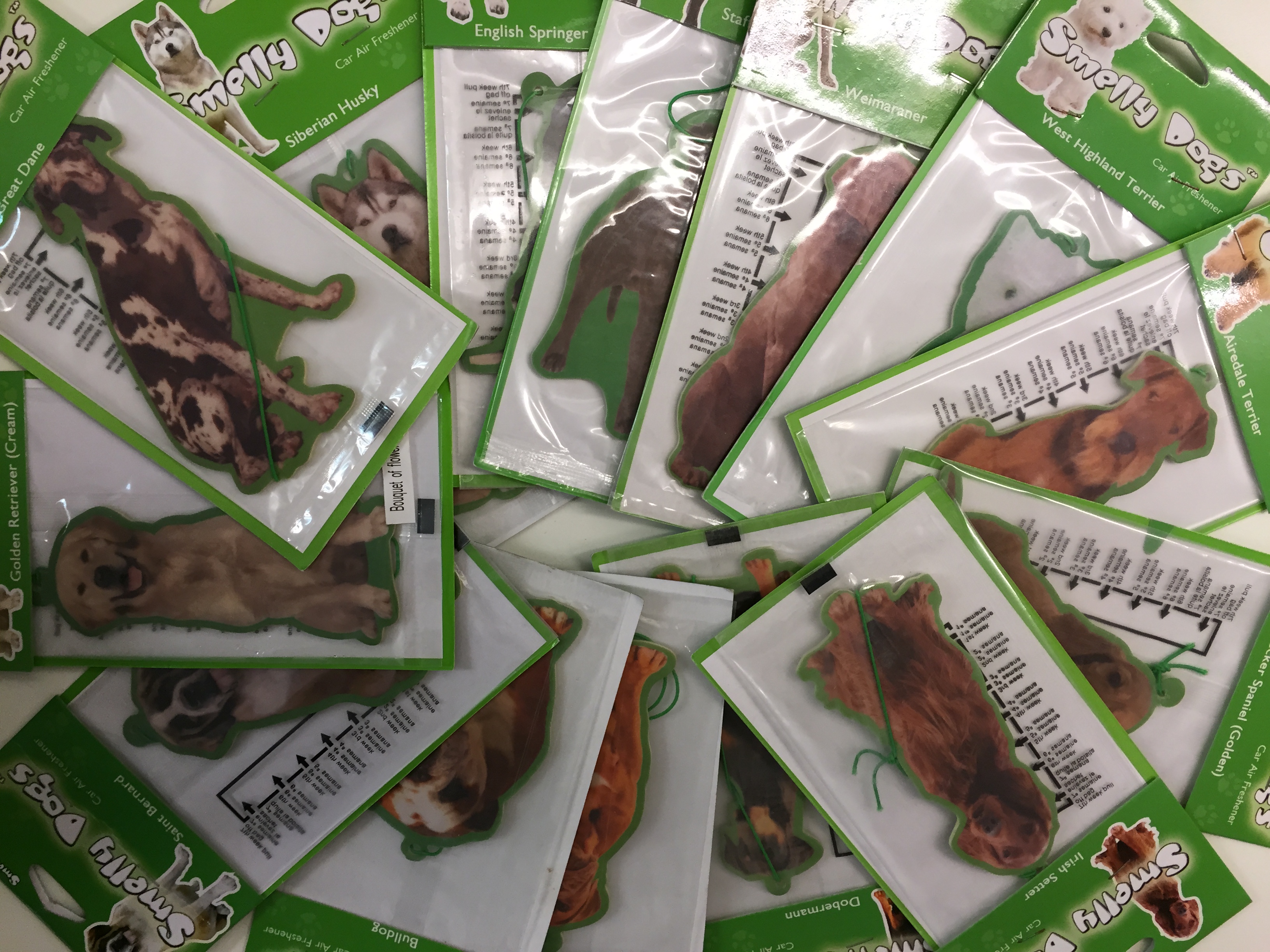 Smelly dogs Car Air Freshener