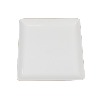 Square Porcelain Plate - Elegant - 12 pack