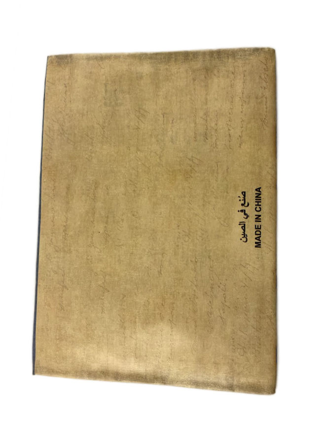 Envelope format Protective case in A4 size Bird - 5