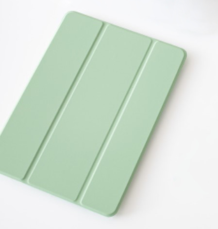iPad Pro 11 inch - Case - 2