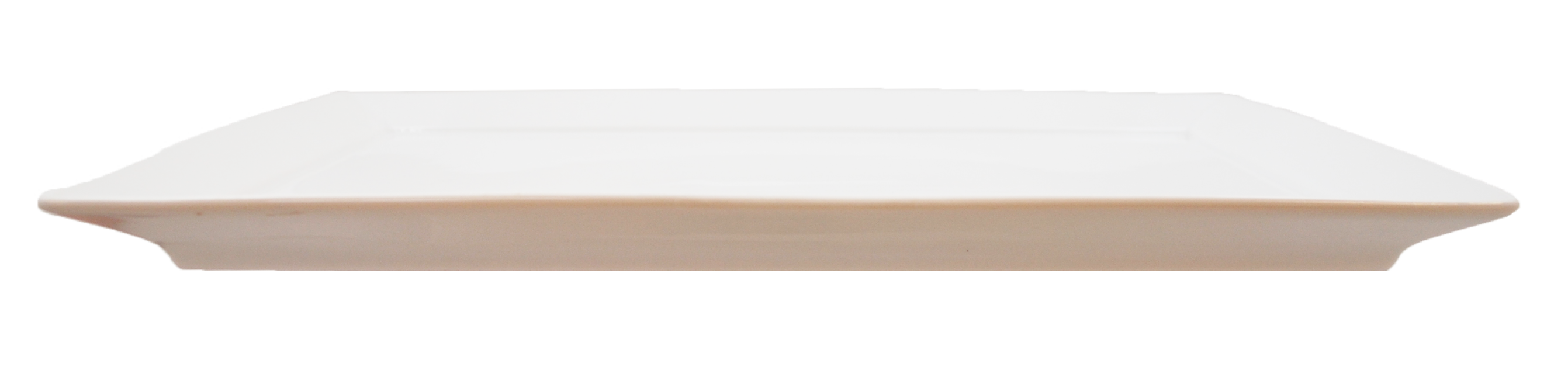 Rectangular Platter - Big and Flat - 4