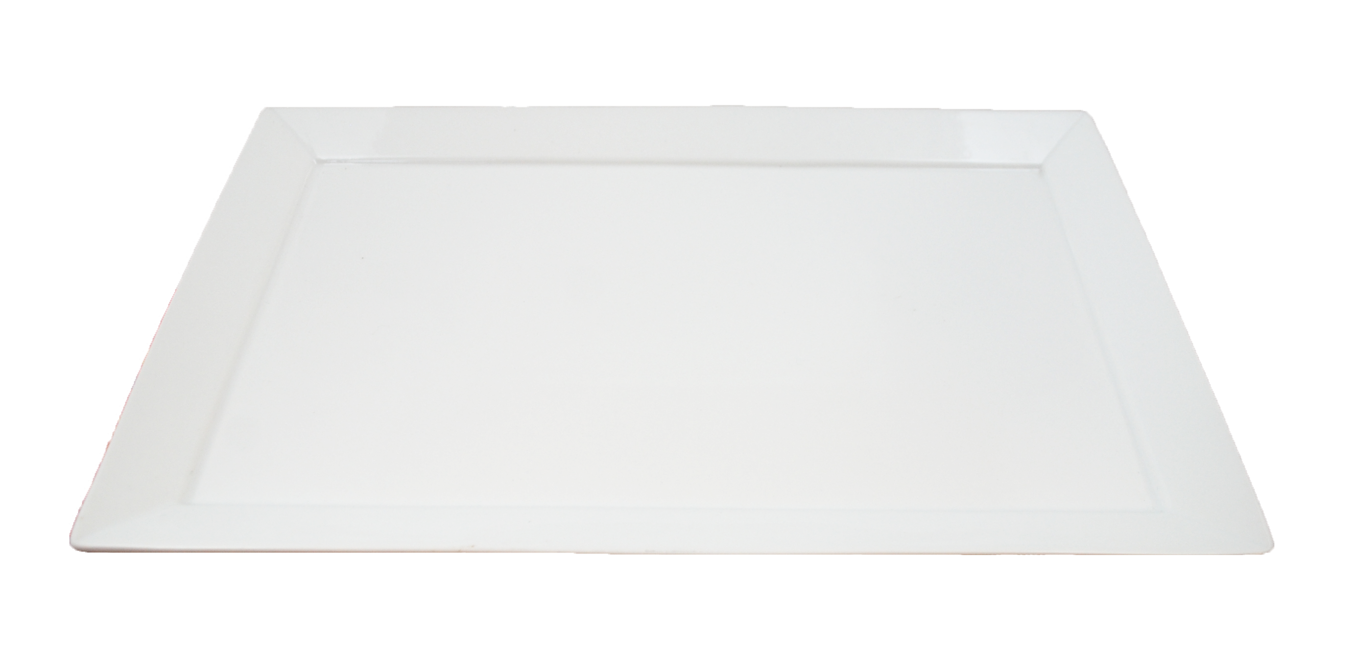 Rectangular Platter - Big and Flat - 5