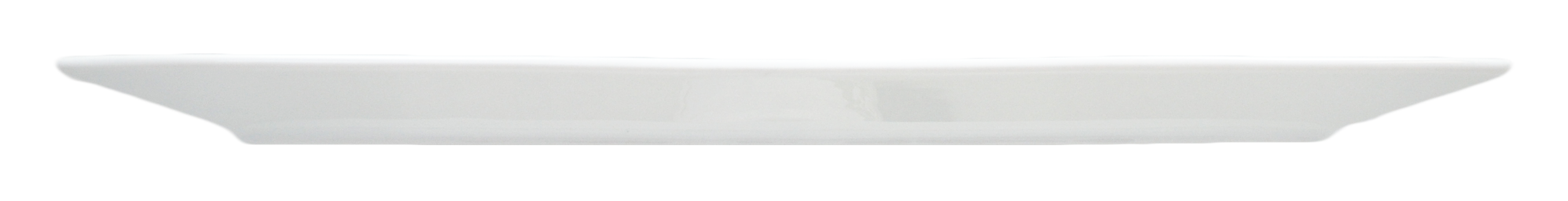 Big Rectangular Plate - Sloped - 4
