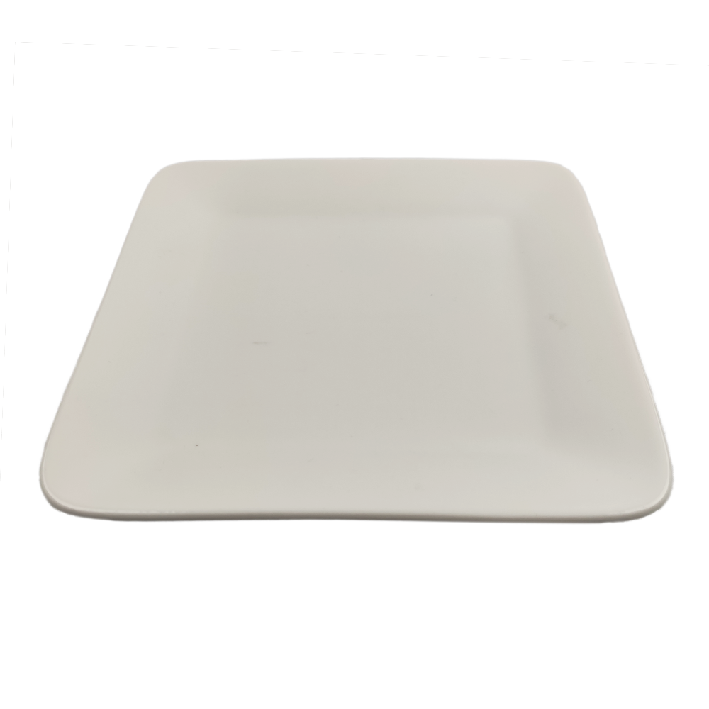 Square Porcelain Plate - 12 pack - 2
