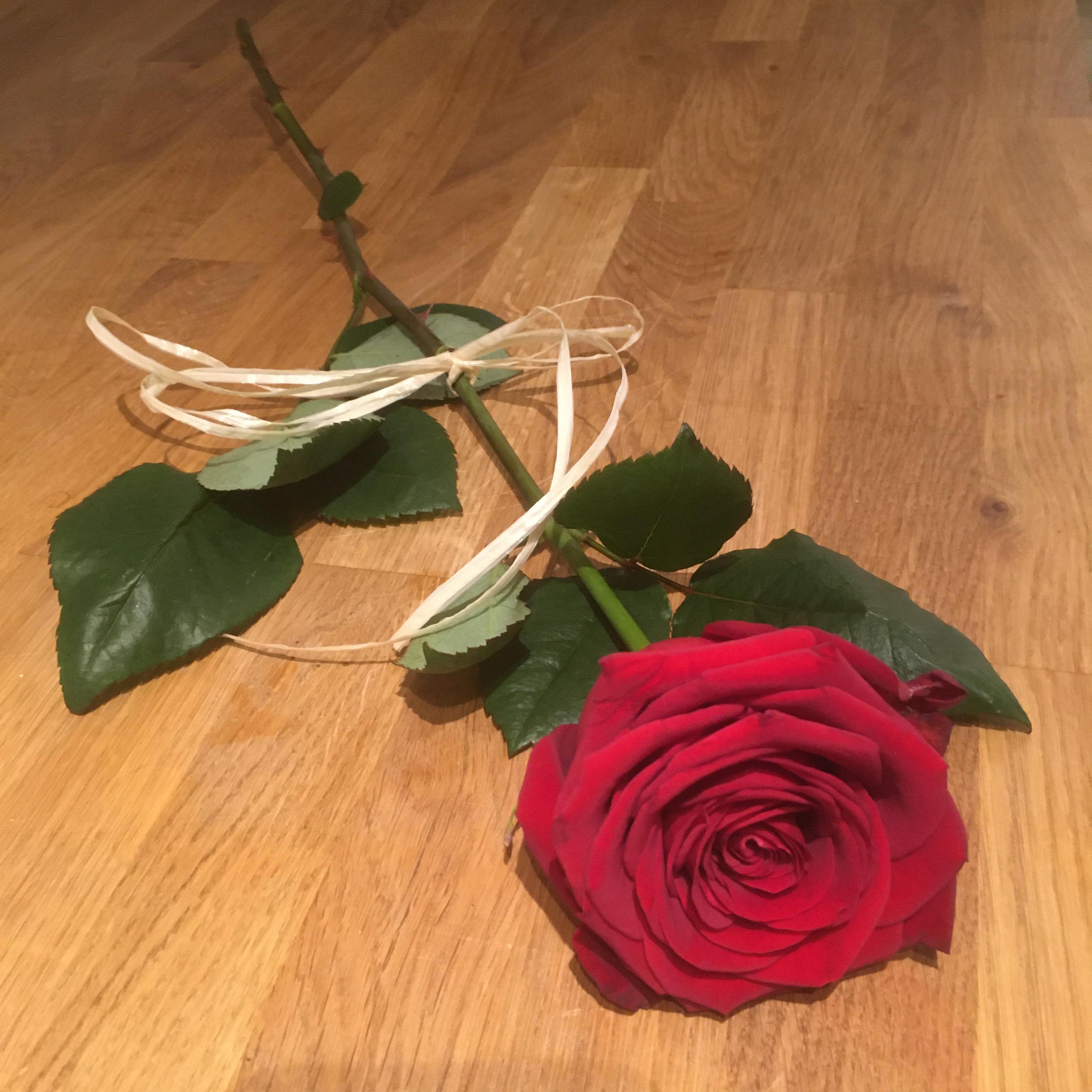 hand blomma ritual -615