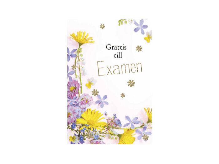 Dubbelt Kort Examen "Grattis till Examen"