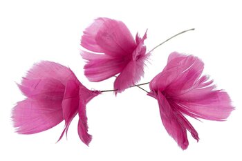 Påskfjädrar Fuchsia 12-pack