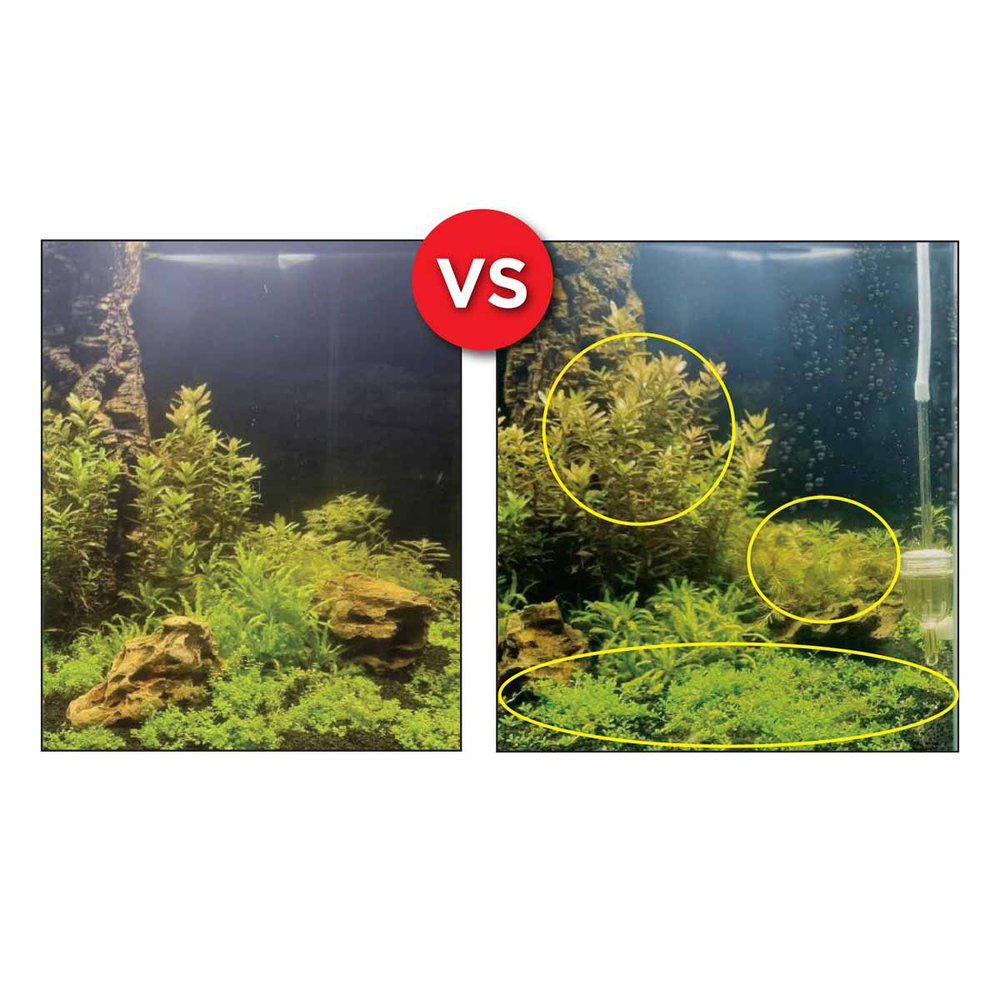 Fluval Bio Co2 Set 125l - 10