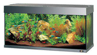 Juwel Rio 180 Akvarium LxBxH: 101x41x50cm 180 liter
