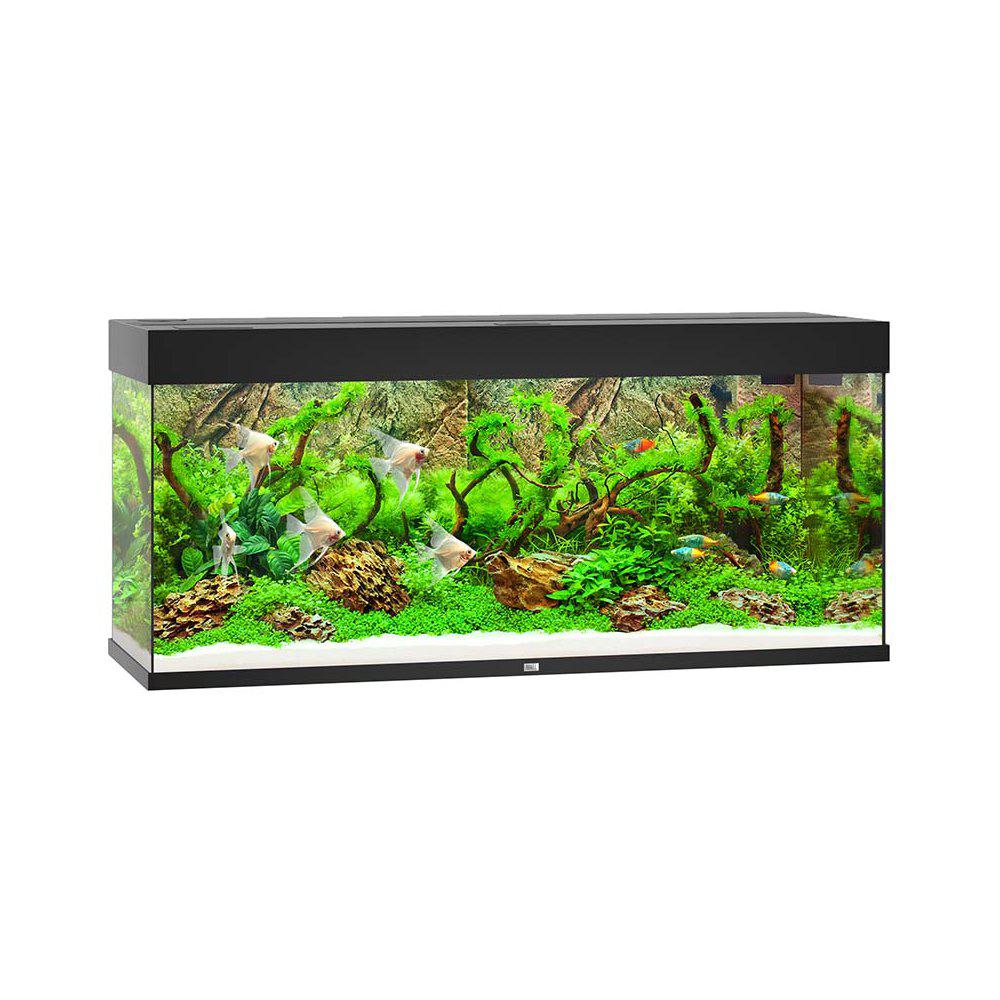 Juwel Rio 240 Akvarium LxBxH: 121x41x55cm 240 liter
