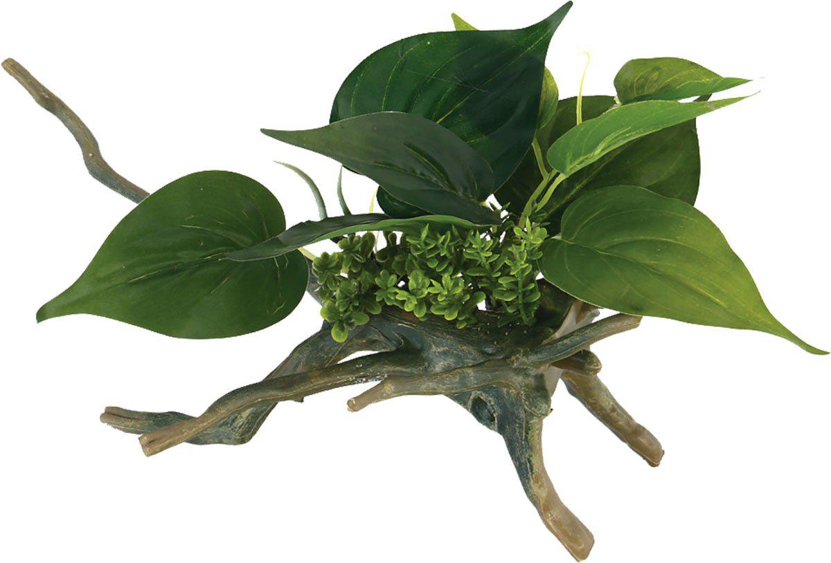 Ozami Drivved Planta 16.5X16.5X24.5 cm
