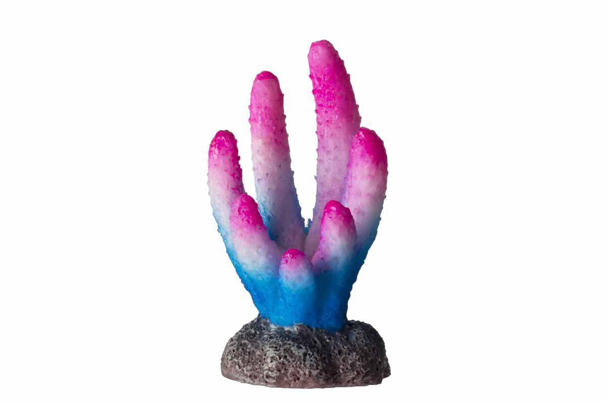 Ozami Korall Rosa, Vit & Blå 3X2.9X5.5 cm