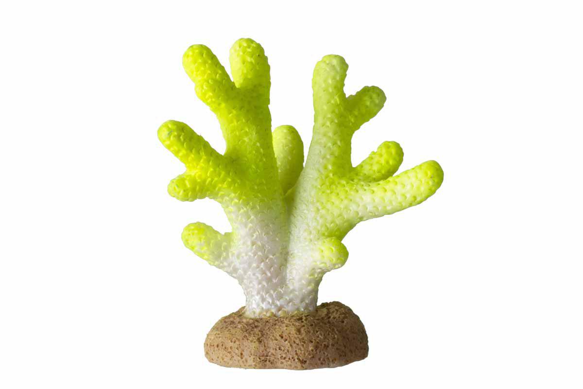 Ozami Korall Lime 4.5X2.5X5.1 cm
