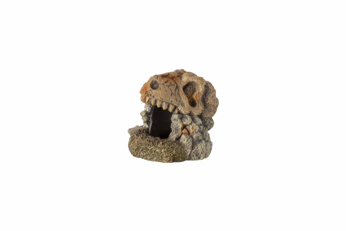 Ozami Fossil 7X7X7.2 cm