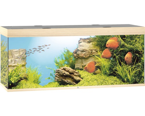 Juwel Rio 450 Akvarium LxBxH: 151x51x66cm 450 liter