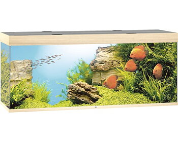 Juwel Rio 450 Akvarium LxBxH: 151x51x66cm 450 liter
