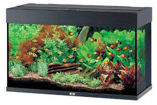 Juwel Rio 125 Akvarium LxBxH: 81x36x50cm 125 liter