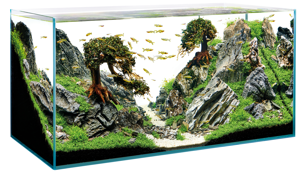 Oase ScaperLine 90 akvarium LxBxH: 90x45x45 cm, 180 liter - 3