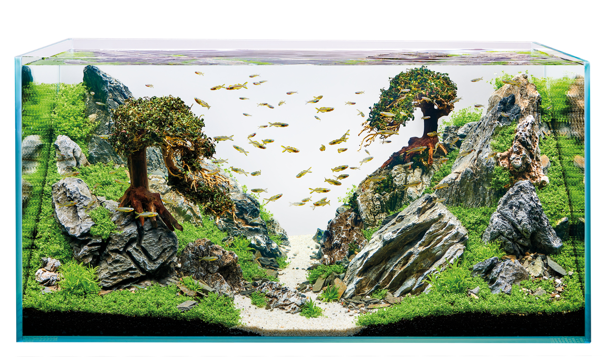 Oase ScaperLine 90 akvarium LxBxH: 90x45x45 cm, 180 liter - 2