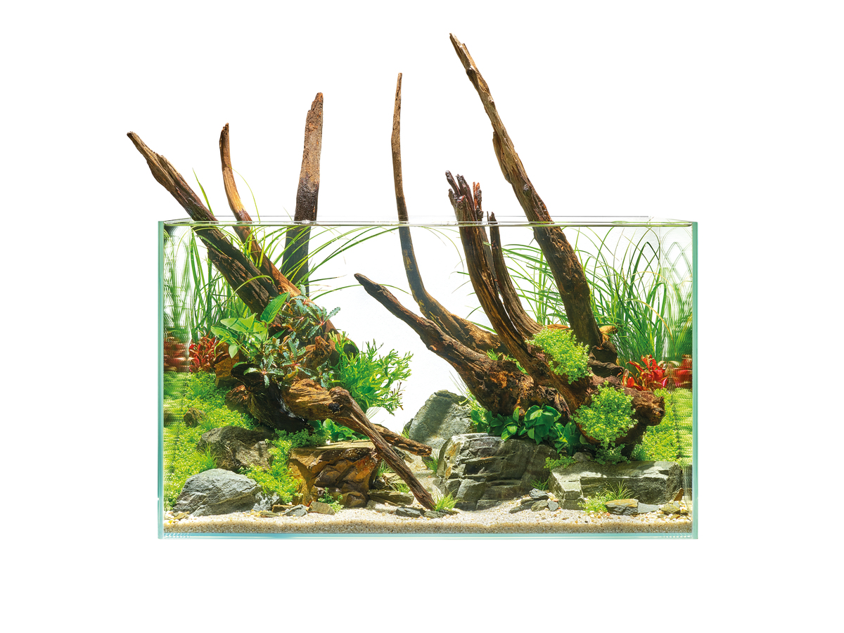Oase ScaperLine 90 akvarium LxBxH: 90x45x45 cm, 180 liter