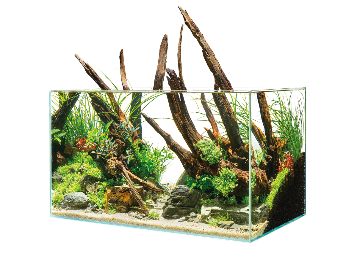 Oase ScaperLine 90 akvarium LxBxH: 90x45x45 cm, 180 liter - 4