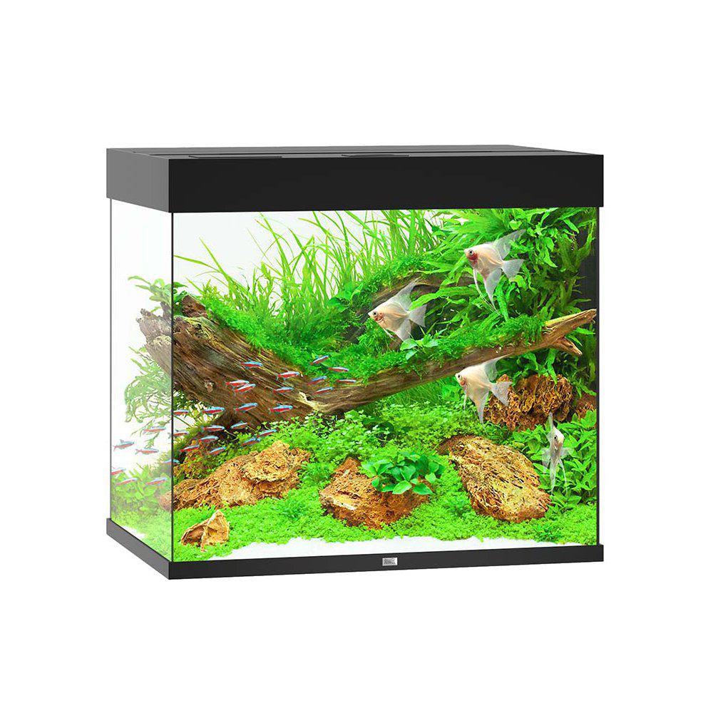 Juwel Lido 200 Akvarium LxBxH: 71x51x65cm 200 liter