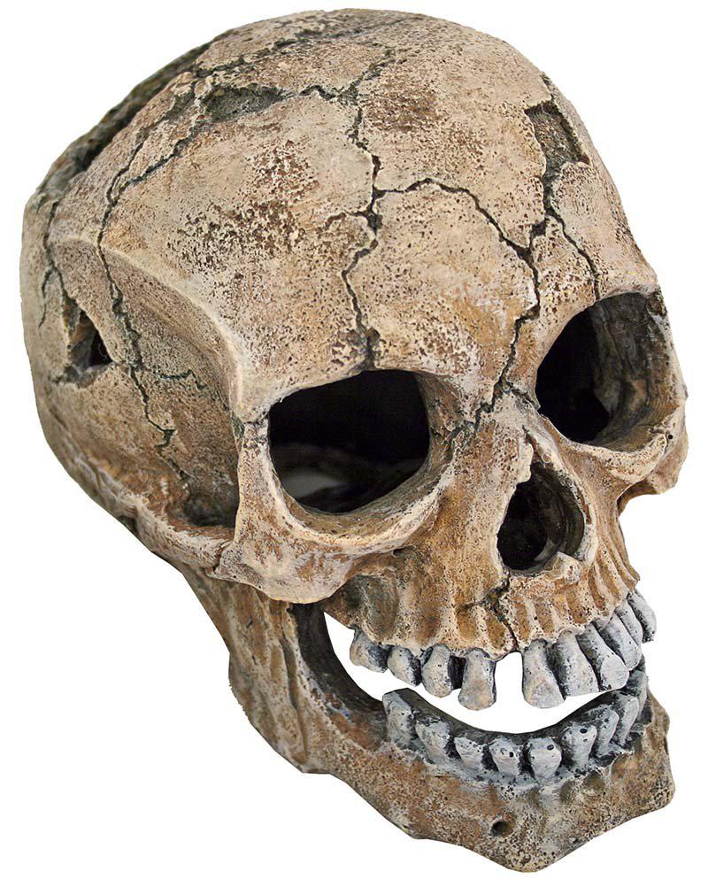 Classic Dödskalle Spräckt Polyester 20 cm