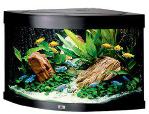 Juwel Trigon 190 Akvarium LxBxH: 70x70x60cm 190 liter