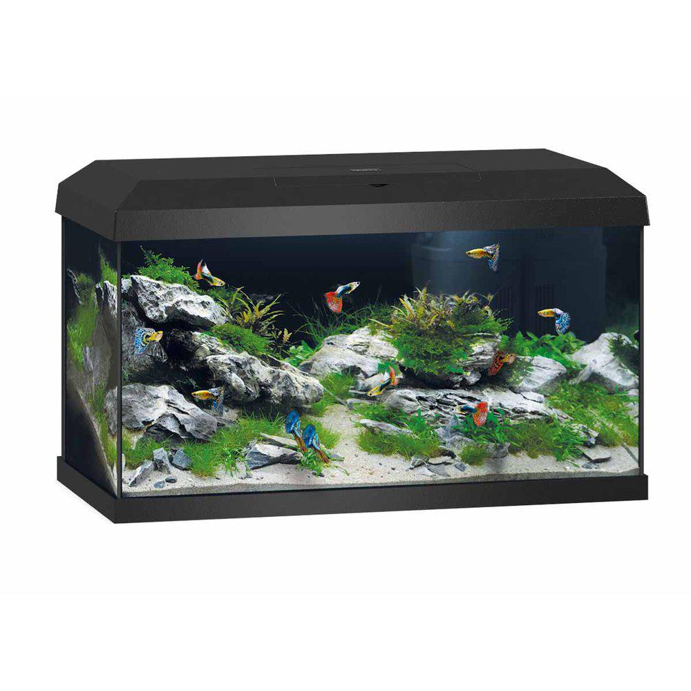 Juwel Primo 60 Akvarium 2.0 Svart LxBxH: 61x31x36,5cm 57 liter