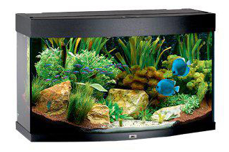 Juwel Vision 180 Akvarium LxBxH: 92x41x55 cm 180 liter