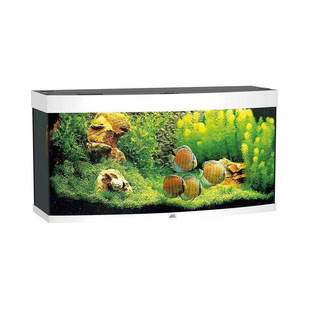 Juwel Vision 260 Akvarium LxBxH: 92x41x55 cm 260 liter
