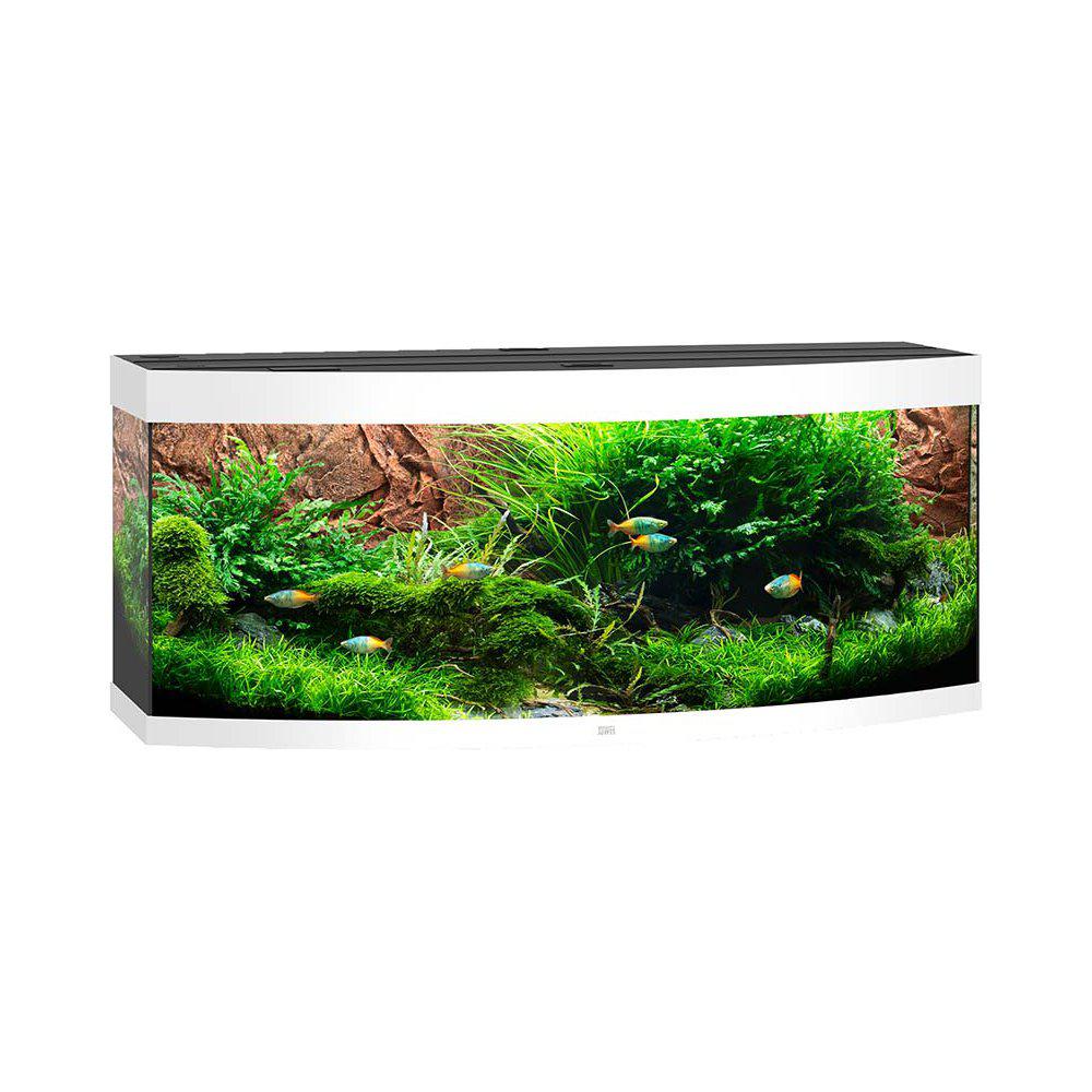 Juwel Vision 450 Akvarium LxBxH: 151x61x64 cm 450 liter