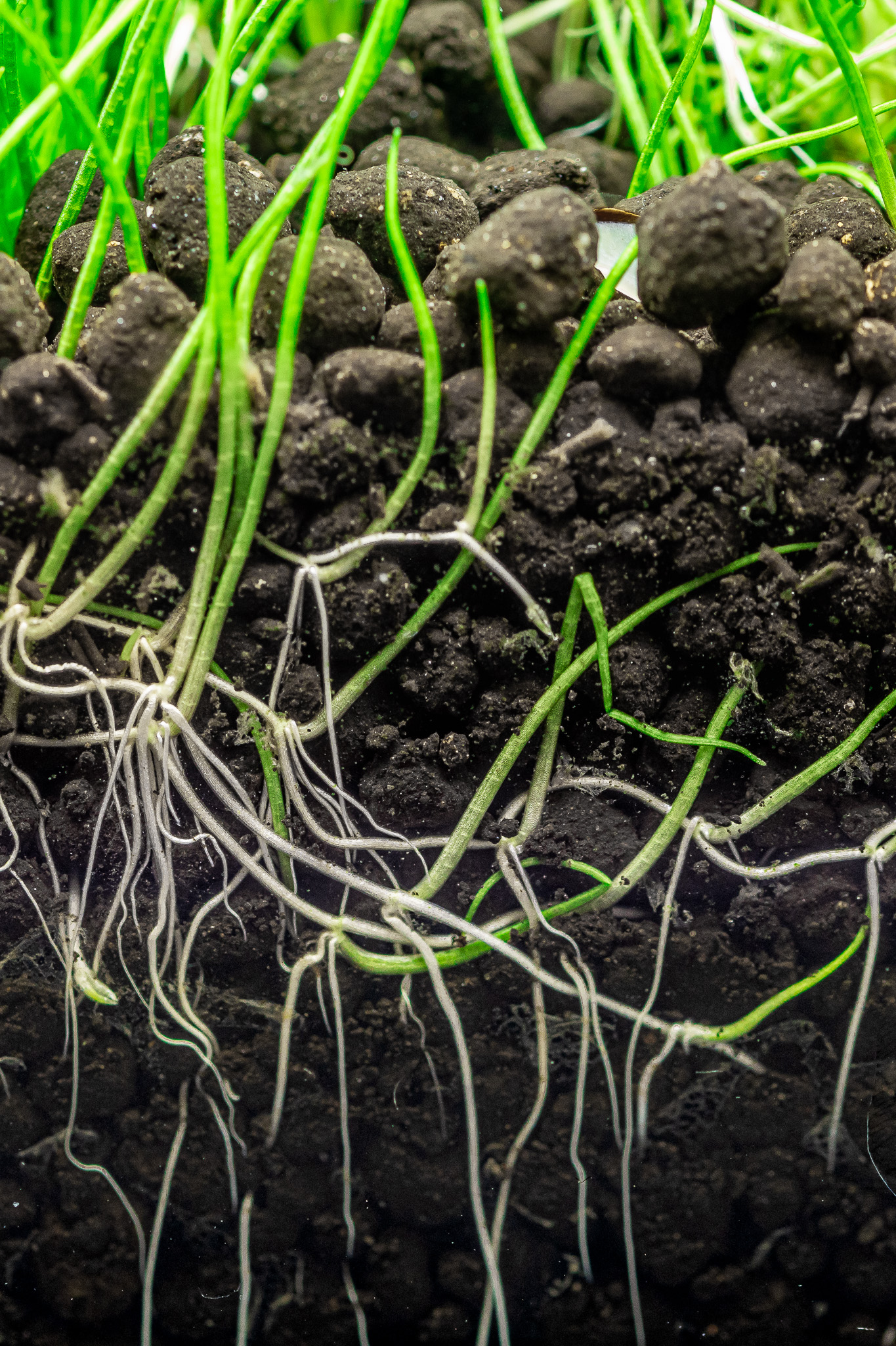 Dennerle Plants Soil 9kg - 3