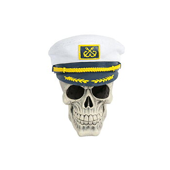 Penn-plax Captain Skull 13x13x15cm