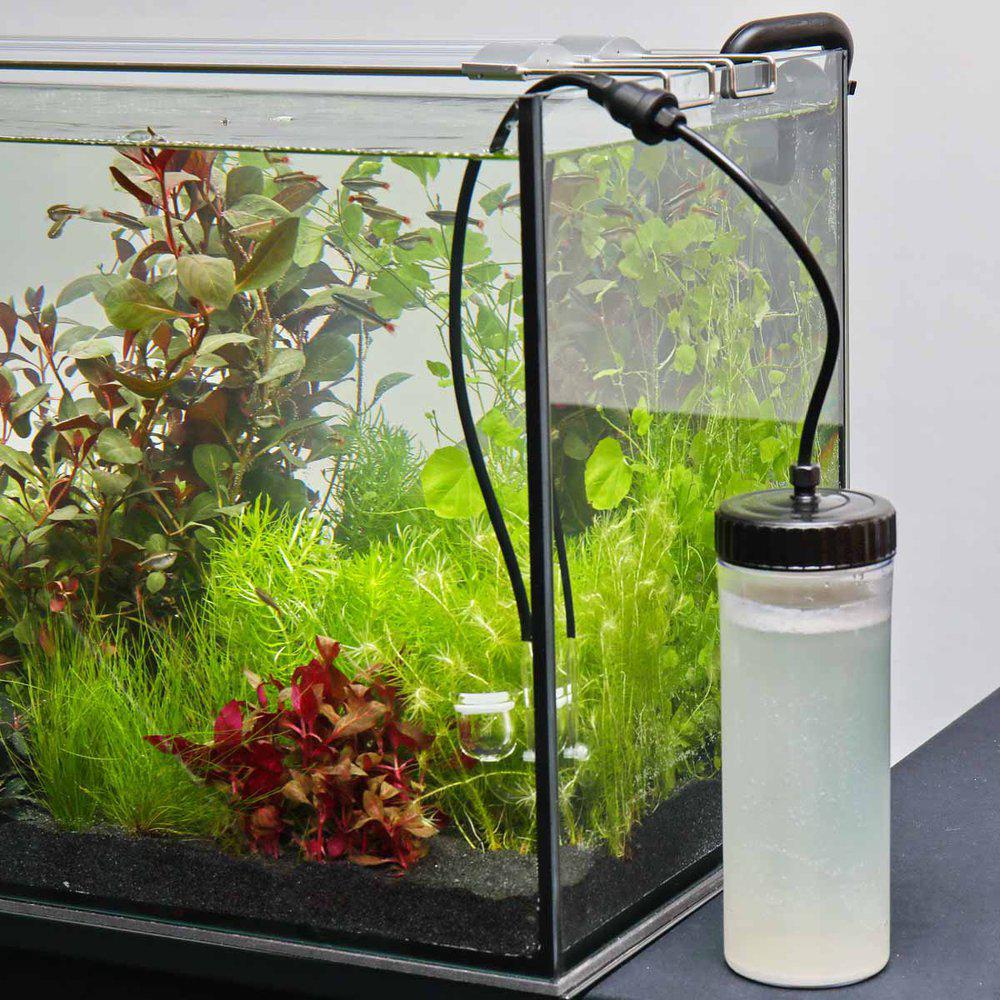 JBL Proflora Co2 Basic Bio Set - 3