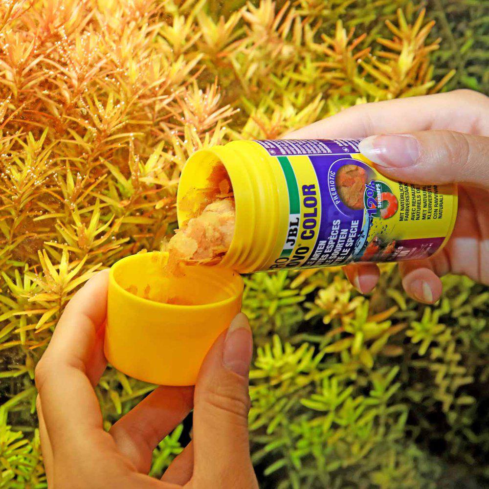 JBL Pronovo Color Flakes M 100ml - 3