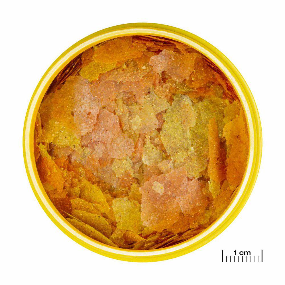 JBL Pronovo Color Flakes M 100ml - 2
