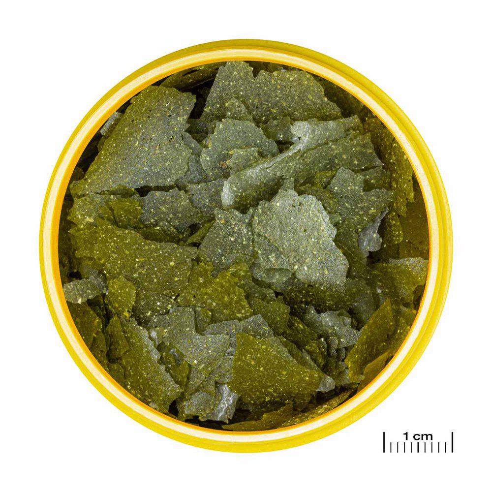 JBL Pronovo Spirulina Flakes M 250ml - 2