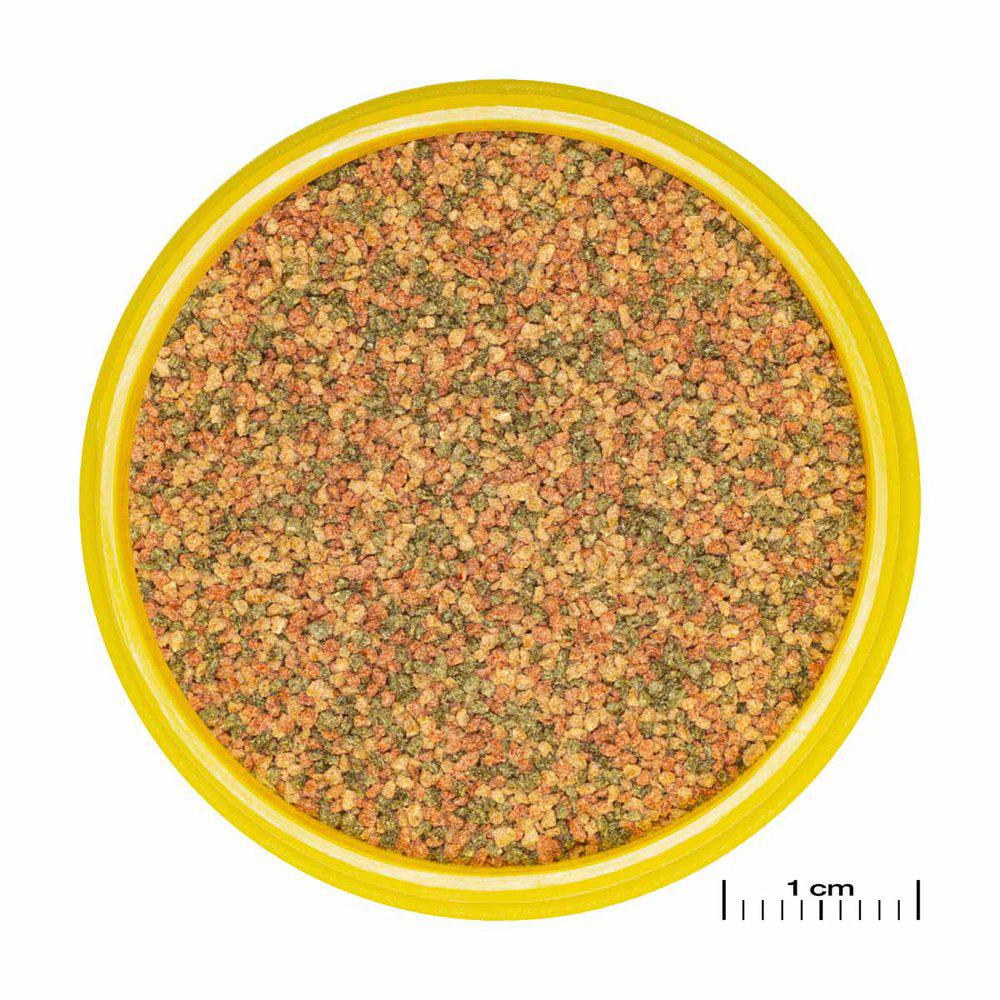 JBL Pronovo Bel Grano XS 100ml - 2