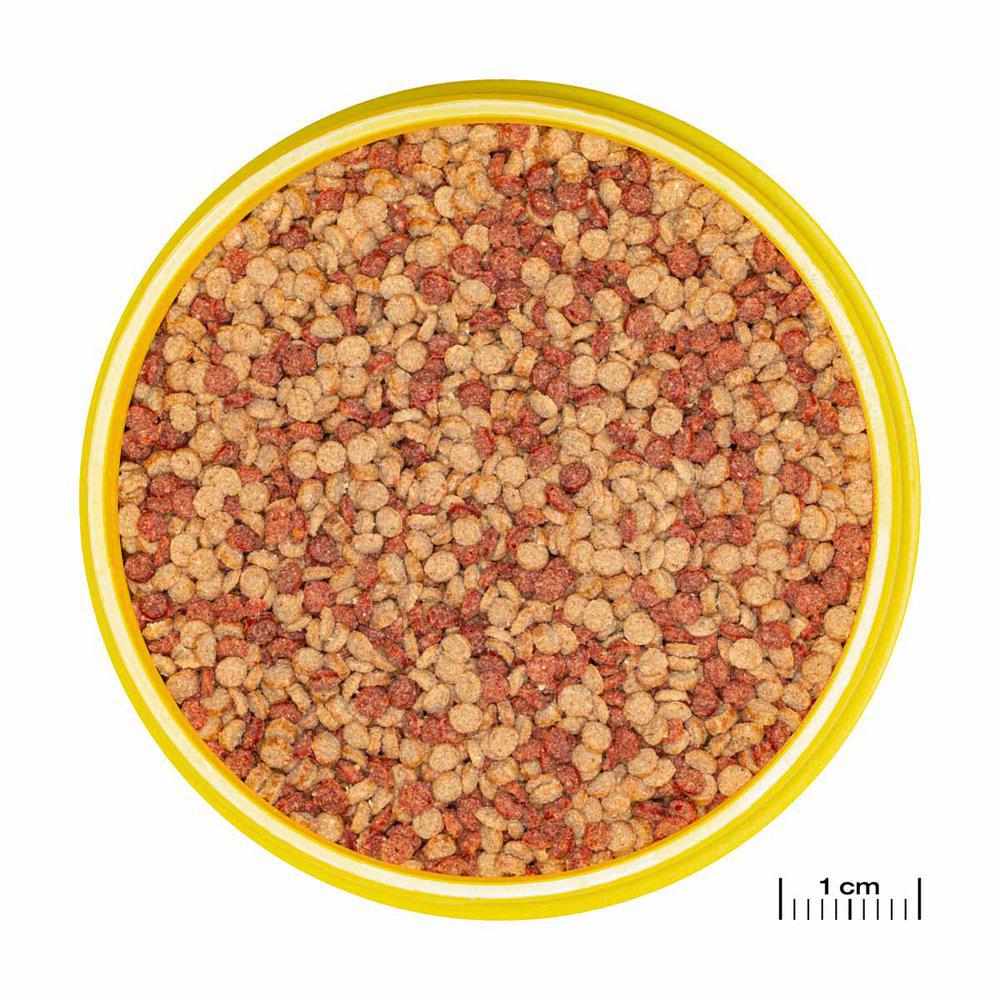 JBL Pronovo Color Grano M 250ml - 2