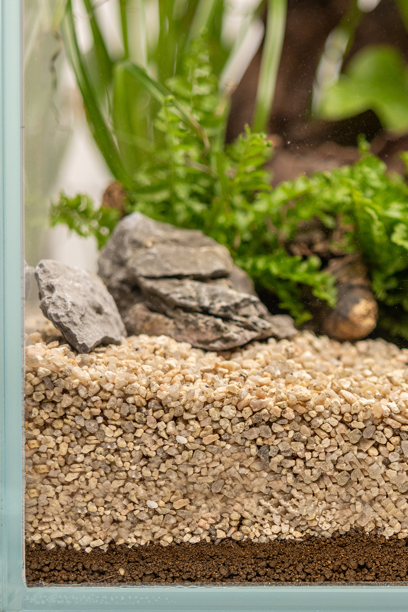 Dennerle Plants Substrate 2,5L - 3