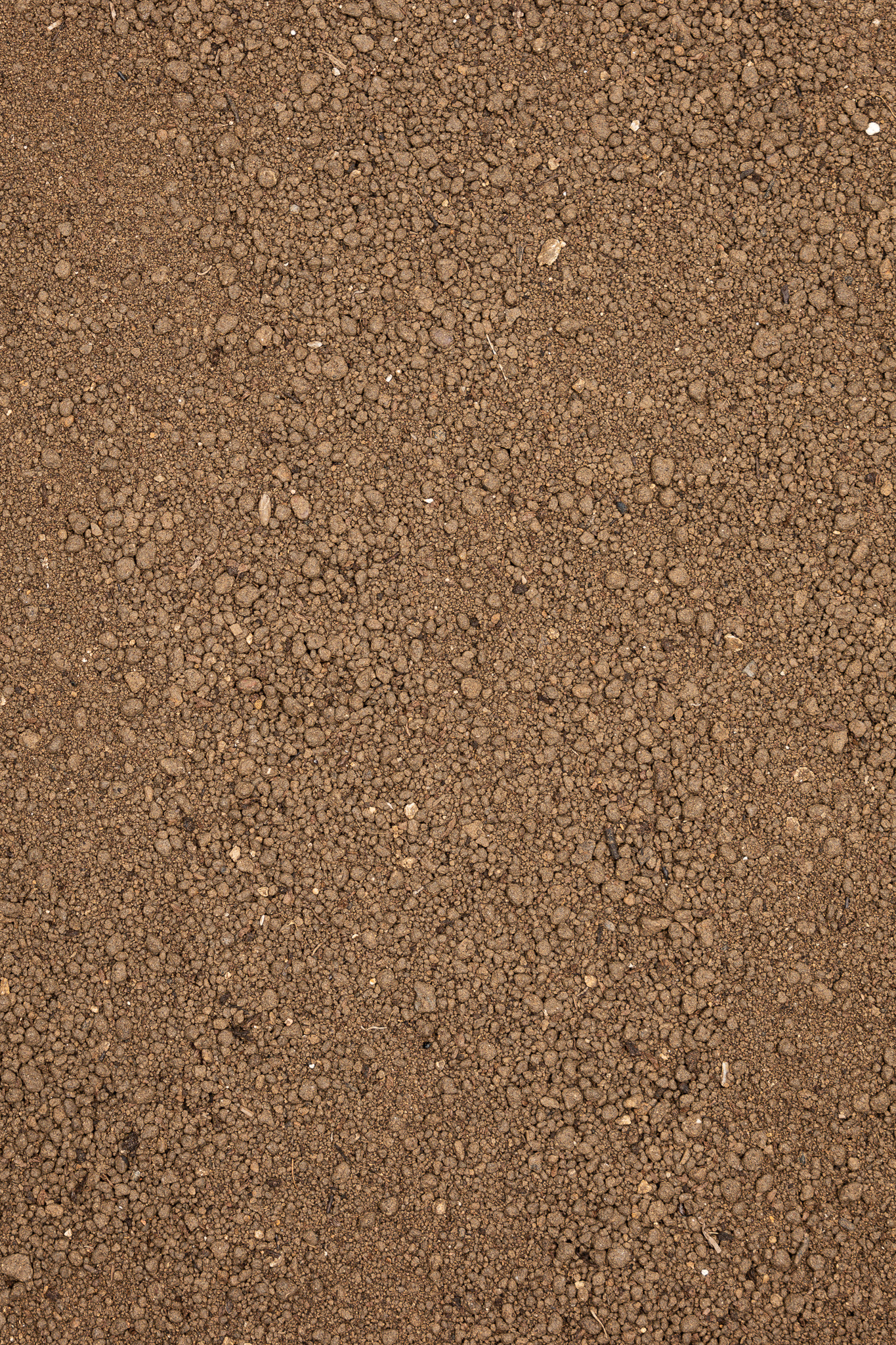 Dennerle Plants Substrate 2,5L - 2