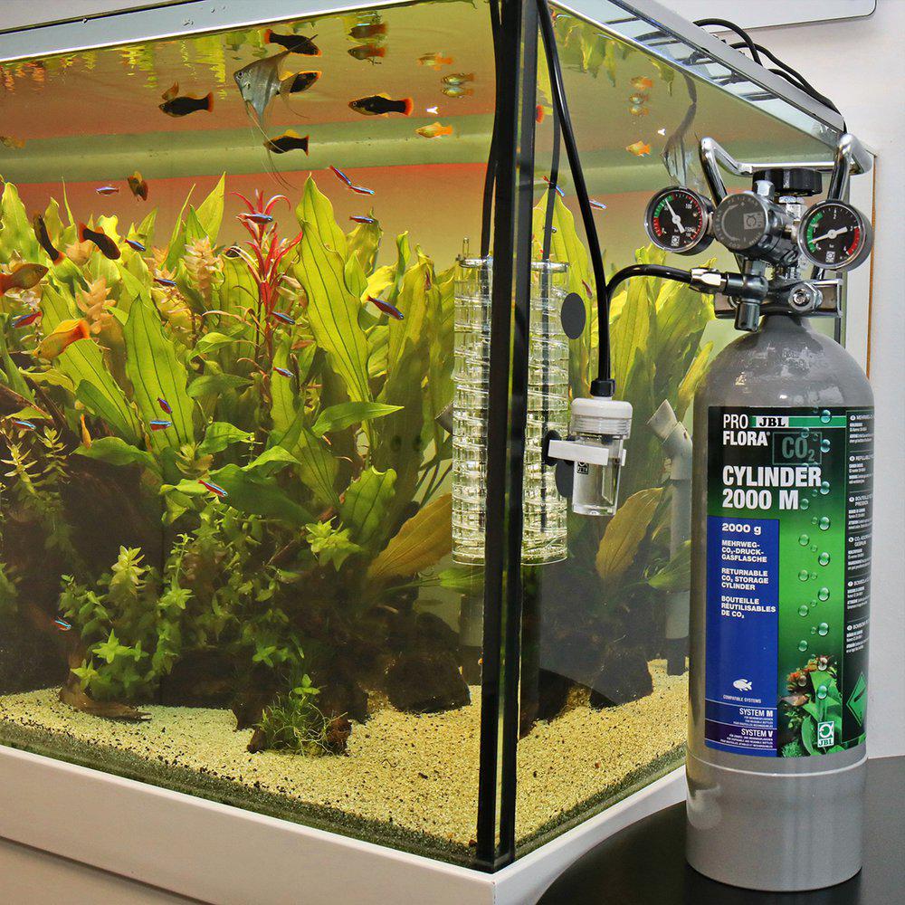 JBL Proflora Co2  2000gr Påfyllningsbar Flaska - 2