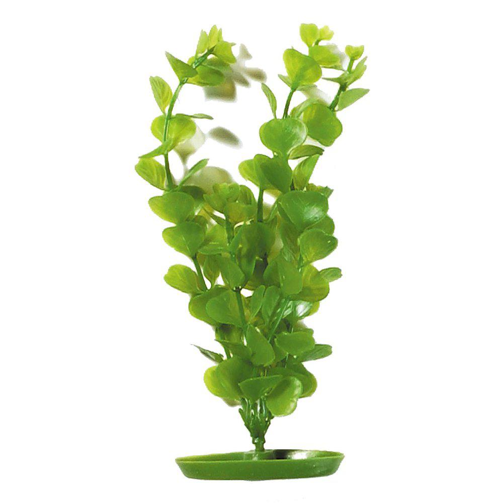 Marina Plastväxt Moneywort 20cm