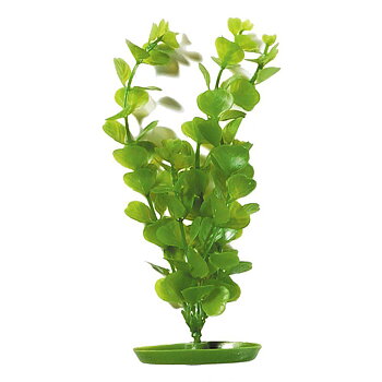Marina Plastväxt Moneywort 20cm