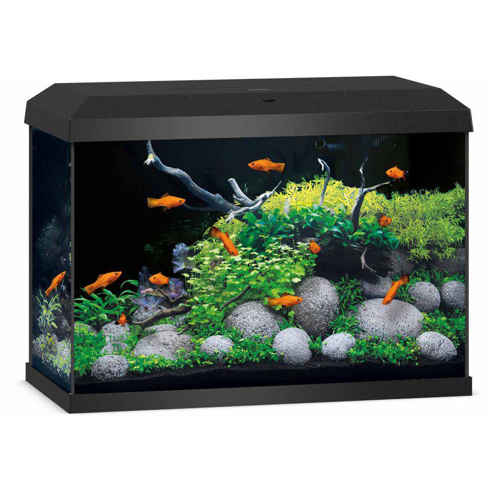 Juwel Primo 70 Akvarium 2.0 Svart LxBxH: 61x31x43,5cm 70 liter